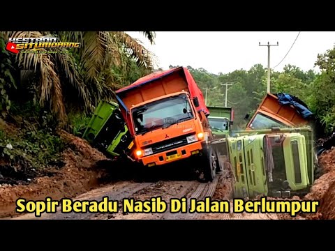 The driver struggled and tried his luck until the truck overturned