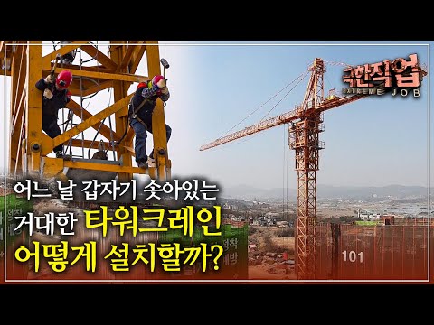 어제는 없었는데 오늘은 솟아있는 거대한 철골 구조물 '타워크레인' 어떻게 설치할까?│타워크레인 설치반│극한직업│#골라듄다큐