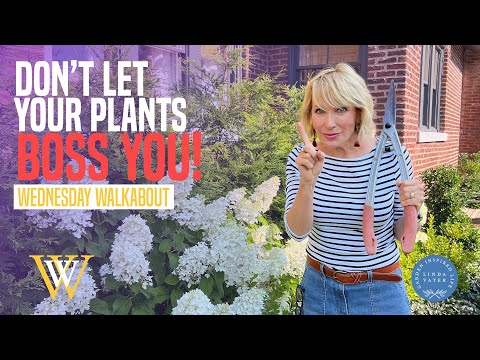5 Ways To NOT Let Your Plants Boss You!