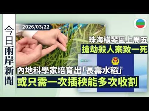 今日兩岸新聞重點:內地科學家培育出「長壽水稻」 或只需一次插秧能多次收割|珠海橫琴區上周五搶劫殺人案致一死 男疑犯被捕|無綫新聞|TVB News|2026/03/22