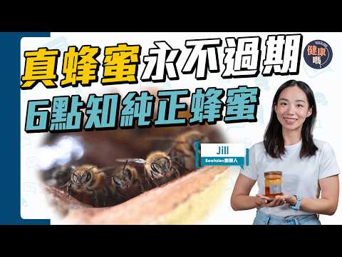 假蜂蜜無處不在 全因奸商餵糖水?|6點明辨真天然蜂蜜 1原則永不過期|健康嗎@HealthCode【Chat醫D】 #蜂蜜 #香港蜂蜜