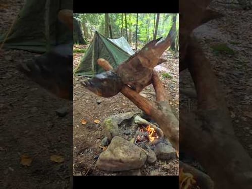 Eating whatever I catch in the wild