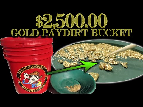 I Bought a $2500.00 Bucket of Dirt Looking for Gold Nuggets