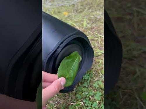 Insane Bass Test | JBL Boombox 2 In The Goal!🔥🔊🔊#jbl #audiotest #bassboosted #bass #basstest