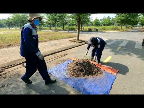 Unexpected Treasures Found While Cleaning the Oldest Sidewalk