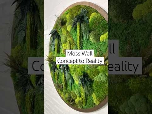 Moss Wall Concept to Reality #artsketch #artinstallation #artistatwork #moss #greenery #indoorplants