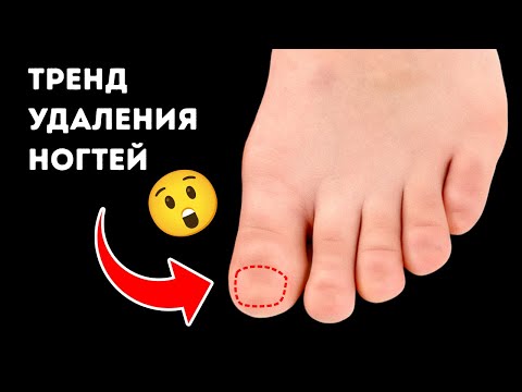 Правда о человеческом теле, которая изменит ваше представление о себе