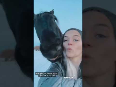 I guess this is his version of ‘cheese’ 😂 #horselife #lifewithhorses #fail #funnyanimals #throwback