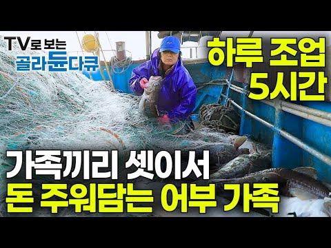 Catching Cod Worth $100 Each: A Korean Family’s Gold Rush at Sea in Jangho Port #PICKDOCU