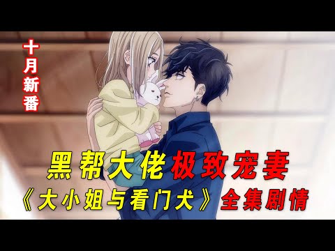 一口气看完《大小姐与看门犬》全集剧情!黑帮大佬极致宠妻,当对象的狗都无所谓!