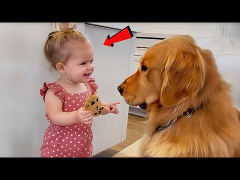 When Your Dog Understands Baby Language Better Than You 🐶