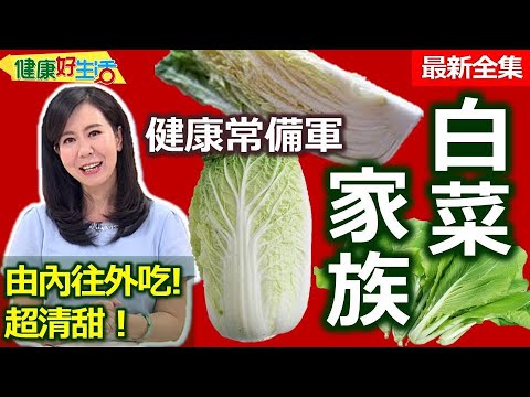 健康好生活 20221220 時令「白菜」種類多!防癌健康常備軍