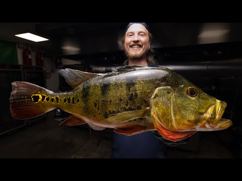 The Truth About Peacock Bass