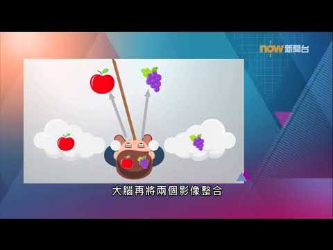 【杏林在線】斜視重影