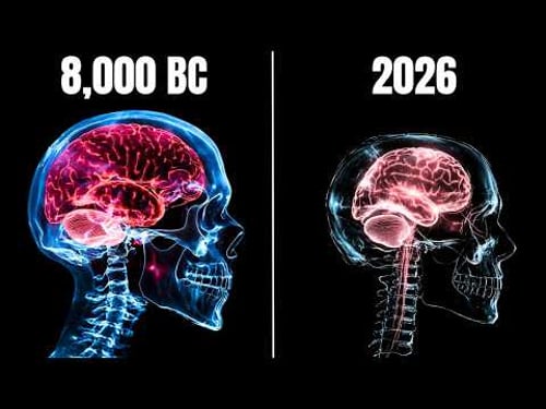 Why Are Our Brains Shrinking?