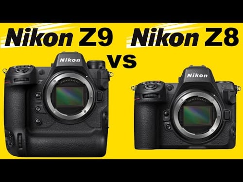 Nikon Z8 vs Z9 | Full Comparison | Why I prefer the Nikon Z8