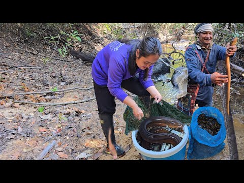 ยกตุ้มดักค้างคืน เจอจังๆวันนี้!! มีอย่างอื่นแถมมาด้วยนอกจาก กุ้งปูปลา!!27ม.ค2568