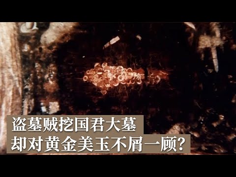 国君大墓遭遇离奇盗墓案!大墓表面完好 地底一片狼藉 盗墓贼竟只盗青铜器! 《探索·发现》2024考古探奇(12)丨 中华国宝