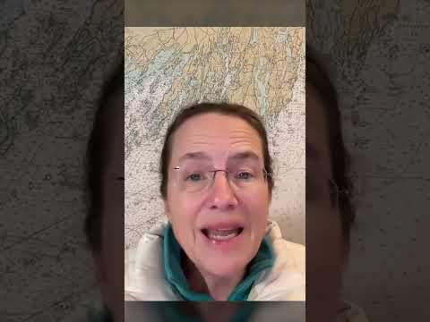 Who’s the Last Defense of American Democracy? It’s Us