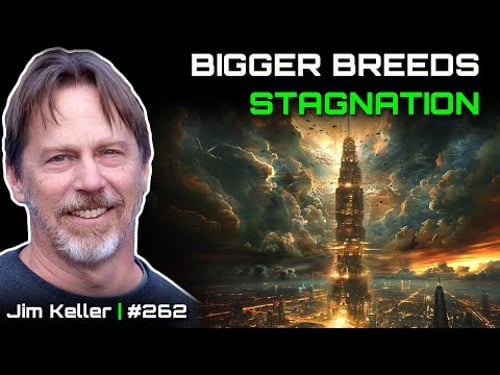 Endgame: Big Tech Bytes the Dust - Jim Keller, Tenstorrent, Tesla, Apple, AMD, Intel #261
