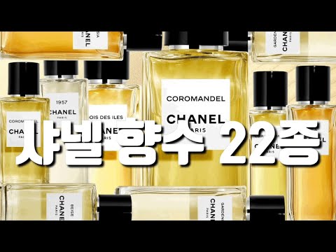 샤넬 향수 22종 솔직 후기(살냄새,비누향, 꽃향,우디향,시트러스,요구르트향)패션향수부터 레젝라인까지👌🏻