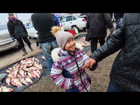 20 ДЕКАБР 2025 ЖЫЛ НОКИС РАЙОН ТАУЫК БАЗАР БАЛЫК БАЗАР БАХАЛАРЫ/#нокис_район