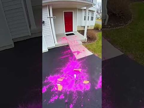 Who Wore It Best: Porch Pirate Edition