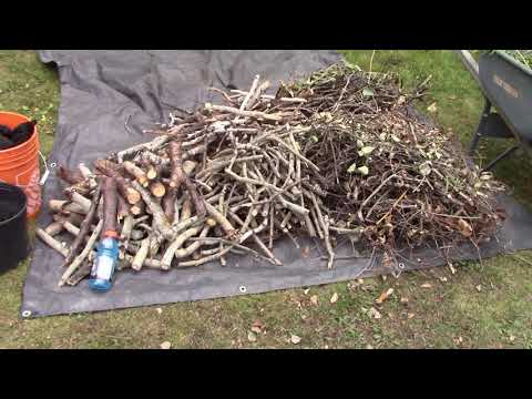 Biochar. Best method for producing charcoal for biochar.
