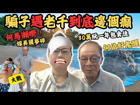 何太嫁加拿大、美國夢碎!原來一切可能竟係何伯的精心佈局?薑唔通真係越老越辣?到底老千遇上騙子,最後誰是大贏家?#何伯何太曠世奇戀 #z檔案