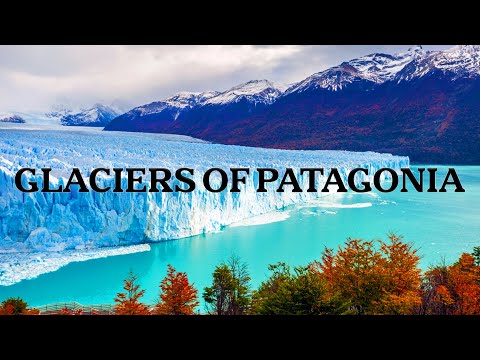 The Final Glaciers of Patagonia