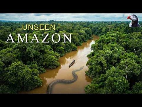 AMAZON : The Worldβs Greatest Rainforest