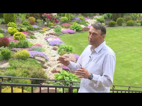 Сад На склоне Виктор Шешин