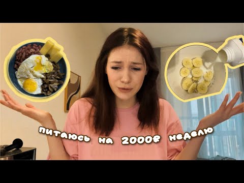 ПИТАЮСЬ НА 2000р 6 ДНЕЙ/ мой рацион/ рецепты/ продуктовая корзина