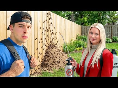 I Met The Girl Who Made $10M Selling Pest Control