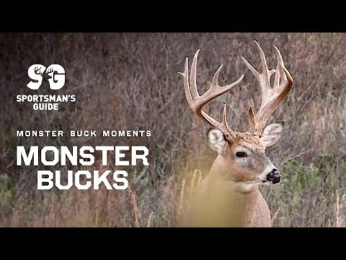 Giant Whitetail Hunts | Midwest Giants| Monster Buck Moments presented by Sportsman's Guide