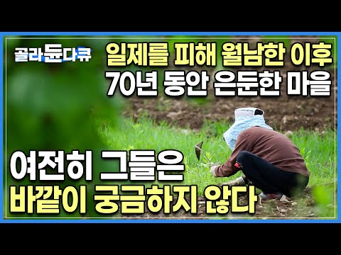 너무 깊어 6.25 전쟁도 피해간 소백산 오지 ‘피화기 마을’┃들어온 이후 나가본 적 없는 노인들, 그들이 여전히 이곳을 떠나지 않는 이유┃한국기행┃#골라듄다큐