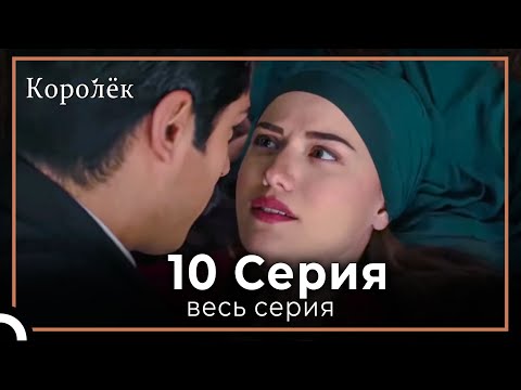 Королек | птичка певчая 10 серия