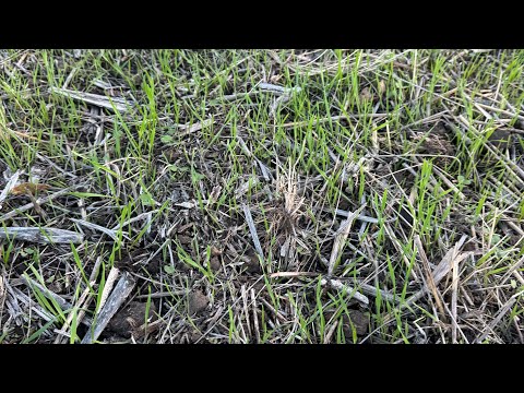 Одеса - Миколаїв. Одна з головних проблем Півдня…