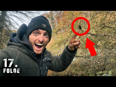 Ein TRAUM geht in ERFÜLLUNG! | Tag 17/100 autark