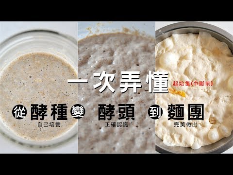 《不萊嗯的私房對談直播》(第02集-起始) - 一次弄懂 - 從酵種進入到酵頭到變成麵團