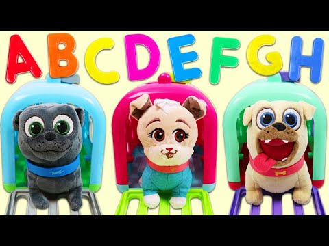 Puppy Dog Pals Brushing Up On Their ABC's & 123's!