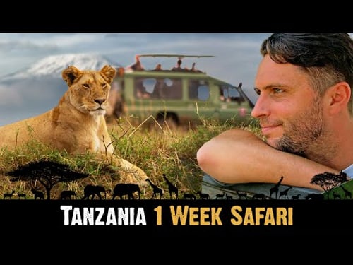 TANZANIA 🇹🇿 1 Week SAFARI | Serengeti, Zanzibar, Ngorongoro Crater