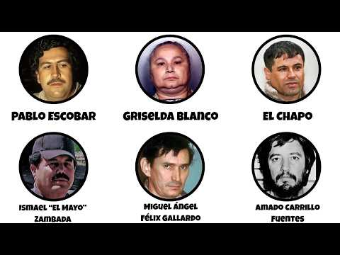 Every Billionaire Drug Kingpin Explained in 7 Minutes