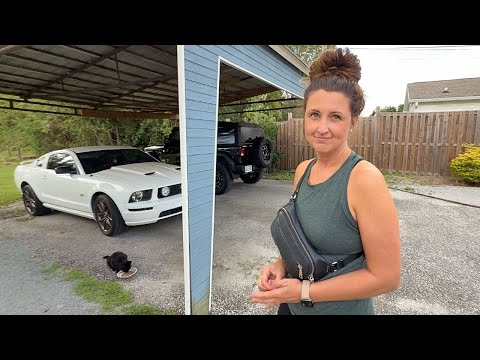 New family member.....