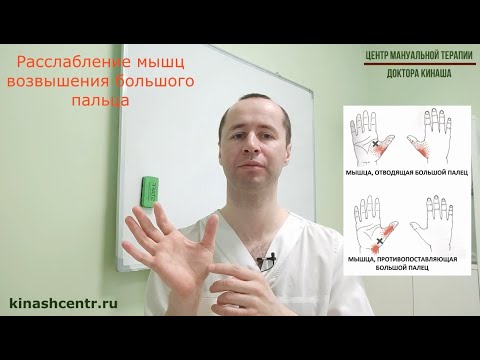 Расслабление мышц большого пальца кисти. Боль в большом пальце.