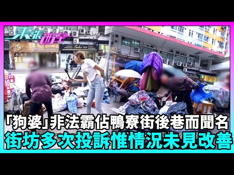 東張西望|女士「狗婆」曾因非法霸佔鴨寮街後巷而惡名遠播,街坊多次向政府部門投訴,惟情況未見改善……|TVBUSA|民生