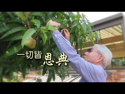 恩雨之聲香港版 《一切皆恩典》陳供生 - 粵語