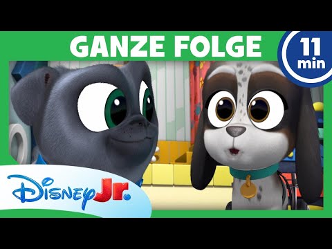 Die Muschel-Mission GANZE FOLGE 6 | Welpen Freunde