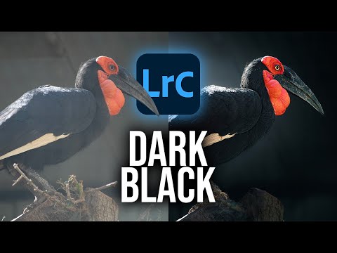 Create THIS DARK BLACK Style using ONLY Lightroom!