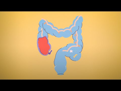 Why You Shouldn’t Worry About Pooping Once a Day | Body Stuff with Dr. Jen Gunter | TED